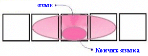 Кончик языка помещается на срединное отверстие, остальная часть языка блокирует соседние с ним отверстия, таким образом 1 и 5 отверстие остаются открытыми