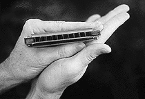 Как держать гармошку